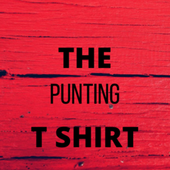 Thepunting